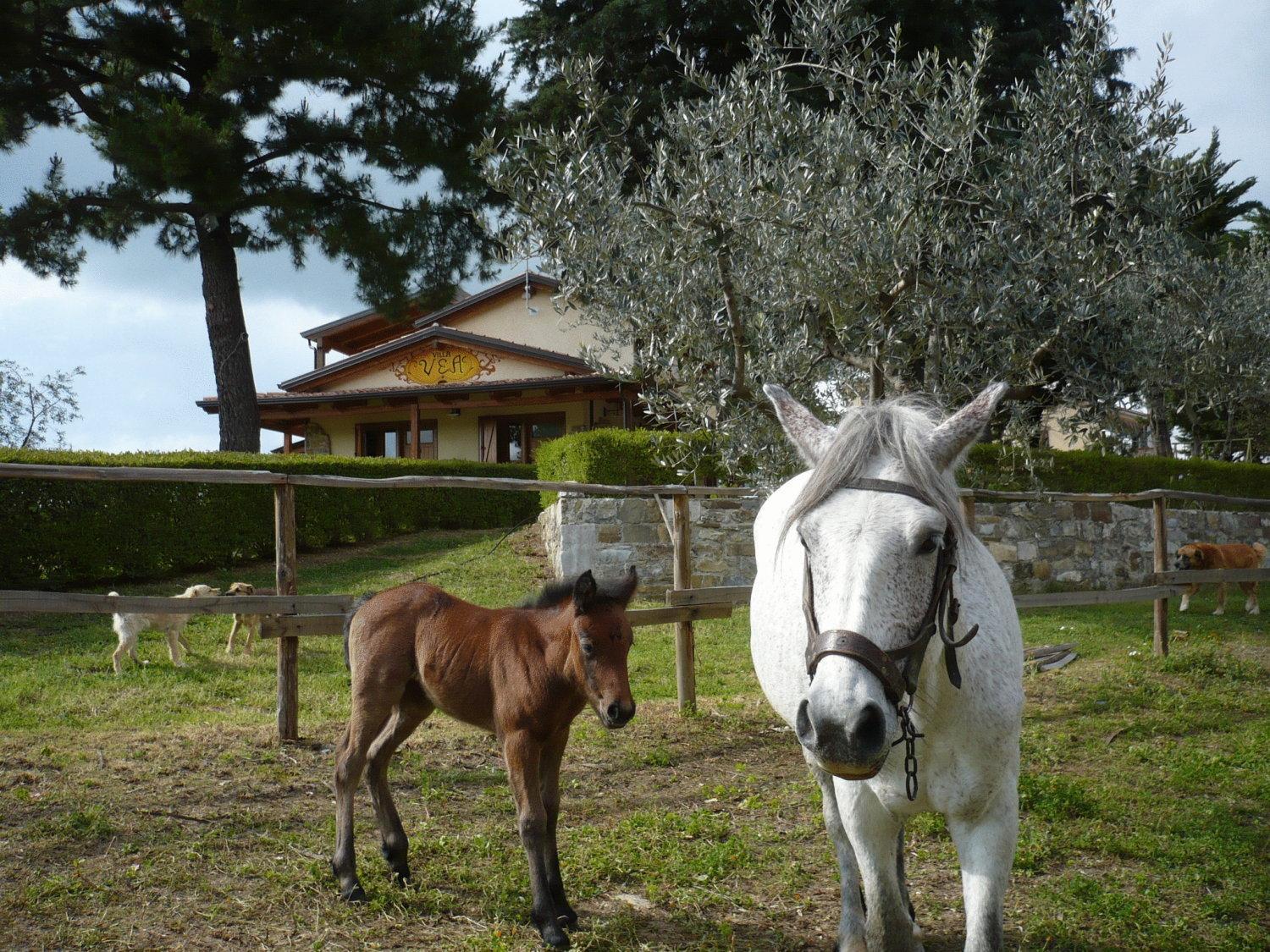 Agriturismo Villa Vea Bellosguardo Εξωτερικό φωτογραφία