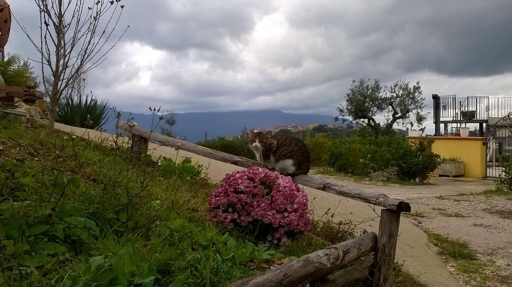 Agriturismo Villa Vea Bellosguardo Εξωτερικό φωτογραφία