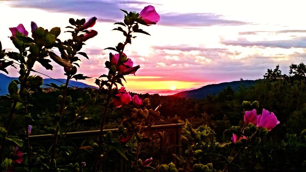 Agriturismo Villa Vea Bellosguardo Εξωτερικό φωτογραφία